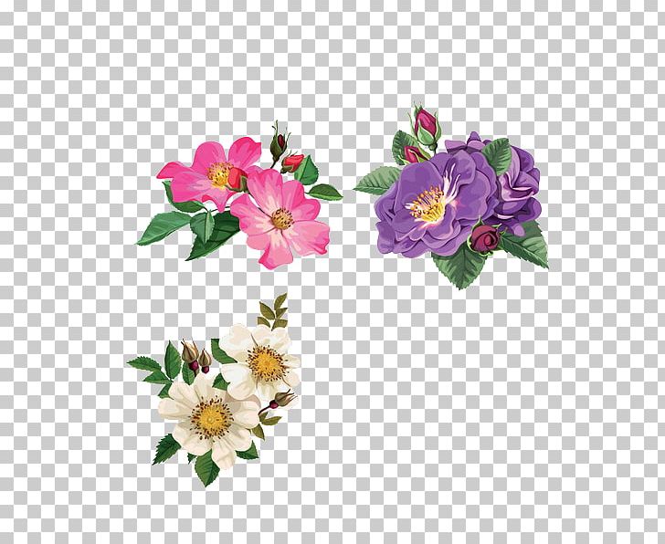 Rosa Arkansana Dog-rose Flower Illustration PNG, Clipart, Artificial Flower, Cartoon, Cut Flowers, Decorative, Decorative Pattern Free PNG Download