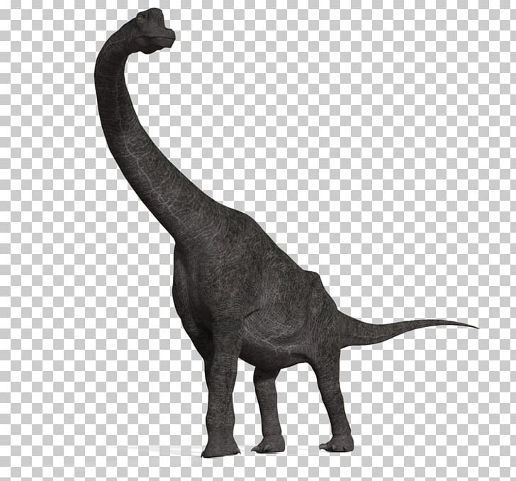Brachiosaurus Apatosaurus Diplodocus Tyrannosaurus Plesiosauria PNG, Clipart, Animal Figure, Apatosaurus, Brachiosaurus, Carnivores Dinosaur Hunter, Dinosaur Free PNG Download
