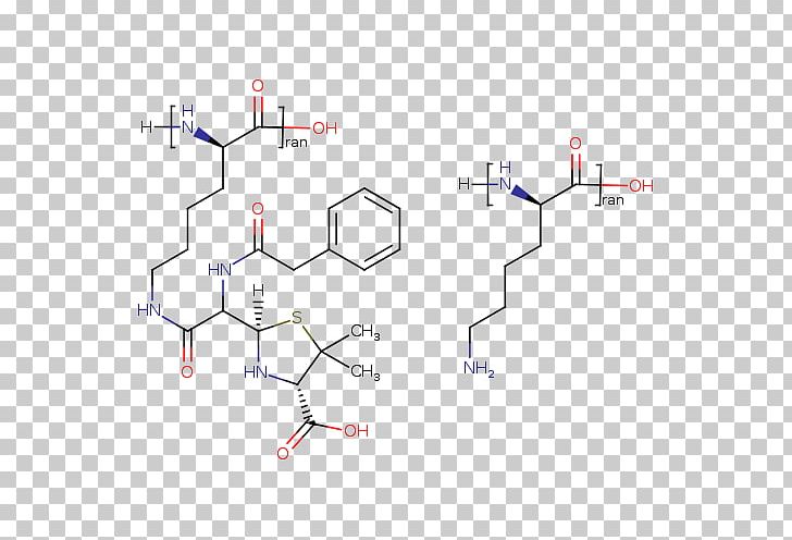 Line Point Angle PNG, Clipart, Angle, Art, Benzylpenicilloyl Polylysine, Diagram, Line Free PNG Download