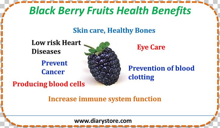 Product Fruit Blackberry Line Font PNG, Clipart, Area, Blackberry, Food, Fruit, Fruit Nut Free PNG Download