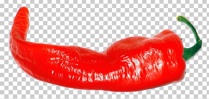 Tabasco Pepper Cayenne Pepper Chili Pepper Malagueta Pepper Paprika PNG, Clipart, Bell Peppers And Chili Peppers, Capsicum Annuum, Cayenne Pepper, Chili Pepper, Food Free PNG Download