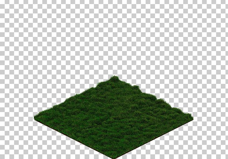 Tree Green PNG, Clipart, Grass, Green, Nature, Tree Free PNG Download