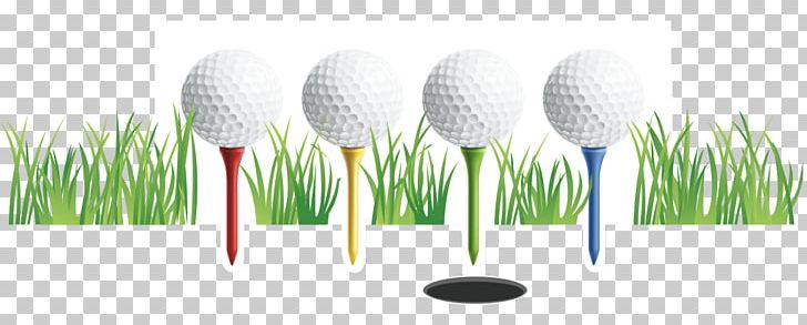 LinkedIn Golf Balls Golf Course Job PNG, Clipart, Computer, Computer Wallpaper, Desktop Wallpaper, Energy, Golf Free PNG Download