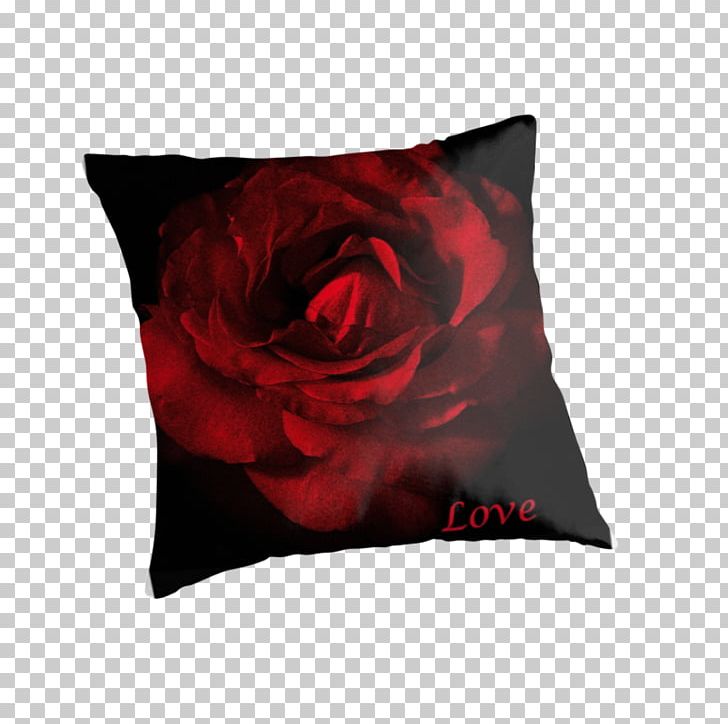 Throw Pillows Cushion Rose Family PNG, Clipart, Cushion, Flower, Furniture, Petal, Pillow Free PNG Download