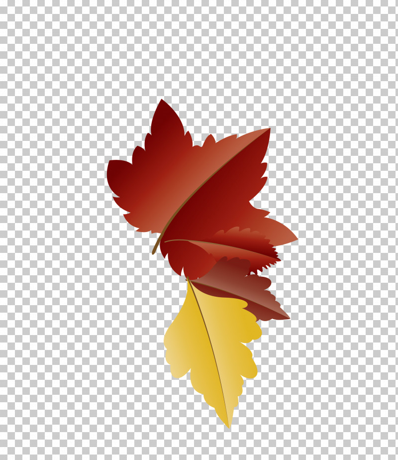 Maple Leaf PNG, Clipart, Autumn Leaf, Biology, Cartoon Leaf, Fall Leaf, Leaf Free PNG Download