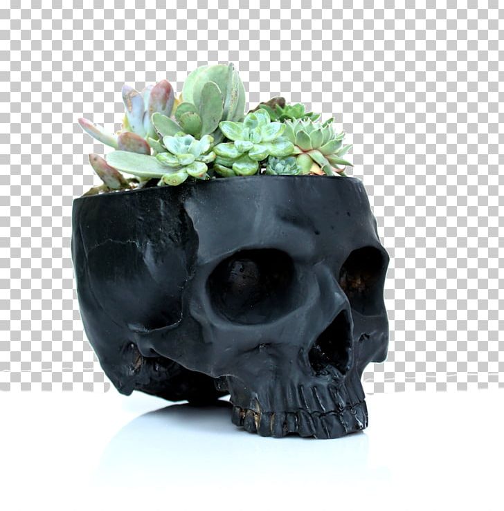Succulent Plant Cactaceae Flowerpot Skull PNG, Clipart, Apartment, Bone, Cactaceae, Cactus, Ceramic Free PNG Download