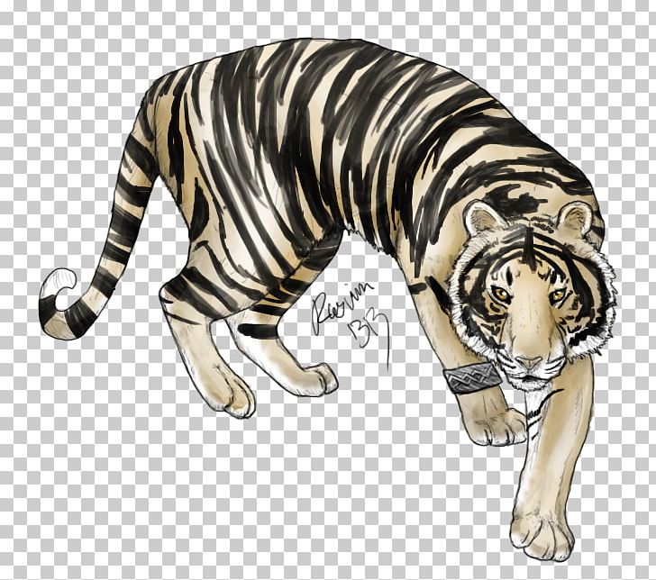 Tiger Big Cat Bad Blood Wildlife PNG, Clipart, Animal, Animals, Bad Blood, Big Cat, Big Cats Free PNG Download