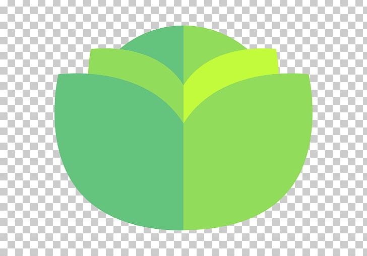 Computer Icons Lettuce Food PNG, Clipart, Angle, Circle, Computer Icons, Encapsulated Postscript, Food Free PNG Download