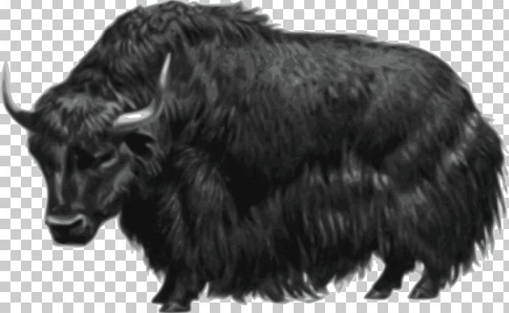 Domestic Yak Muskox PNG, Clipart, Animals, Black And White, Bull, Cattle Like Mammal, Computer Icons Free PNG Download