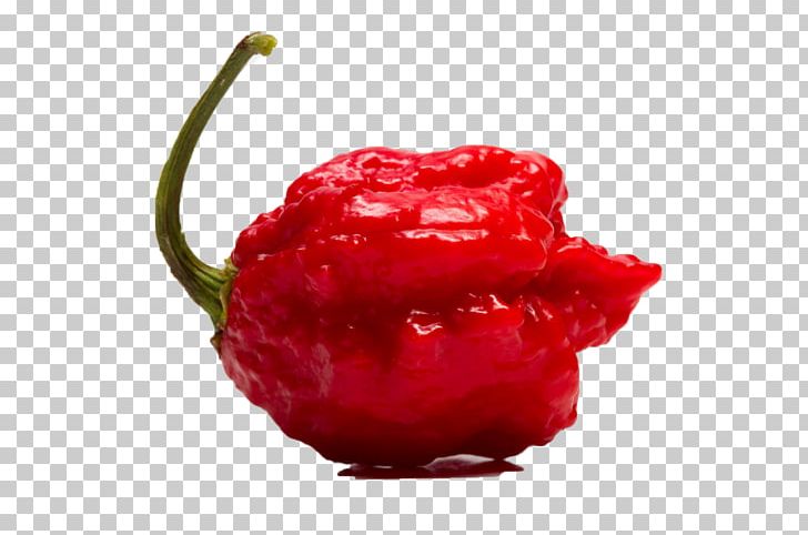 Chili Pepper Carolina Reaper Capsicum Annuum Scoville Unit Capsicum Frutescens PNG, Clipart, Berry, Bhut Jolokia, Capsicum, Cherry, Food Free PNG Download