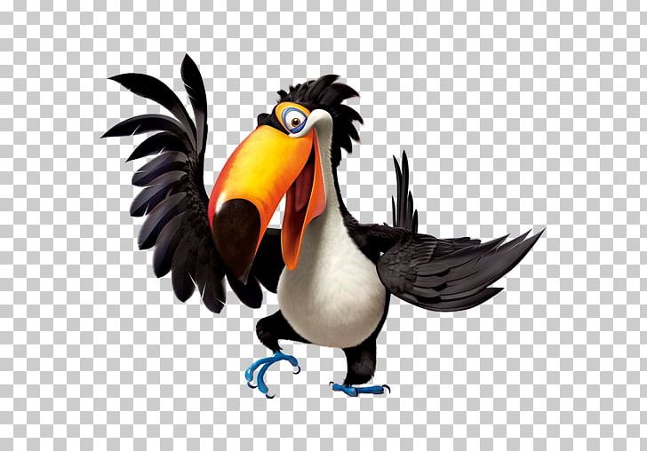Hornbill Flightless Bird Galliformes PNG, Clipart, Adventure Film, Animation, Beak, Bird, Blue Sky Studios Free PNG Download
