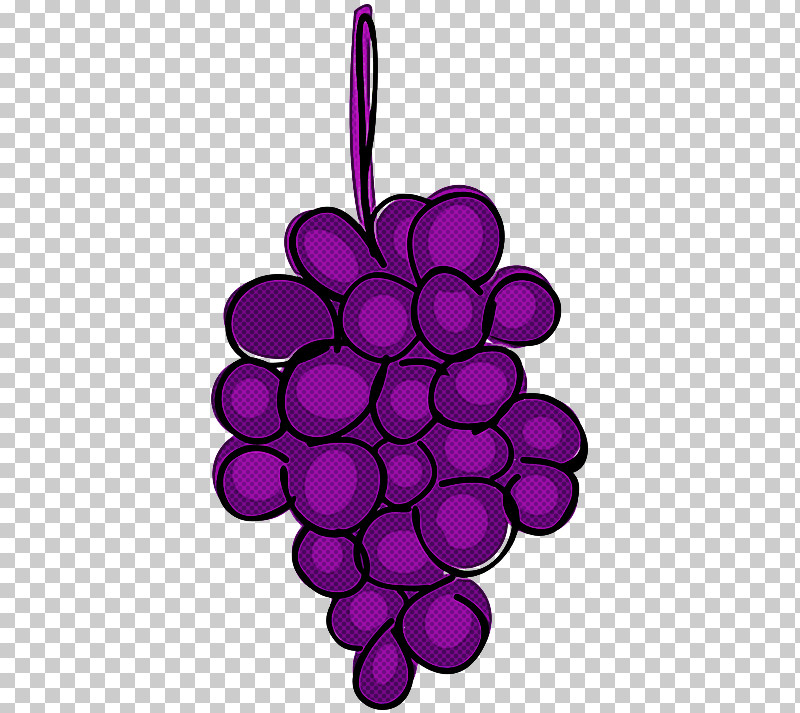 Grape Violet Purple Grapevine Family Vitis PNG, Clipart, Circle, Grape, Grapevine Family, Magenta, Plant Free PNG Download