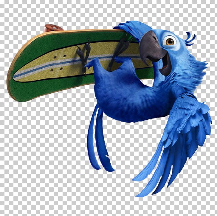 Blu Nigel YouTube Rio De Janeiro Linda PNG, Clipart, Animation, Beak, Bird, Blu, Blue Sky Studios Free PNG Download