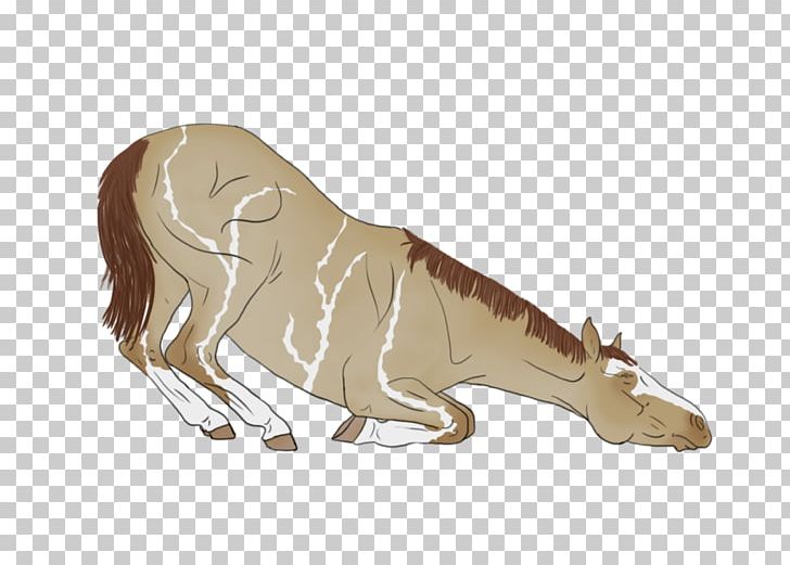 Carnivora Horse Cattle Mane Neck PNG, Clipart, Animal Figure, Animals, Animated Cartoon, Carnivora, Carnivoran Free PNG Download
