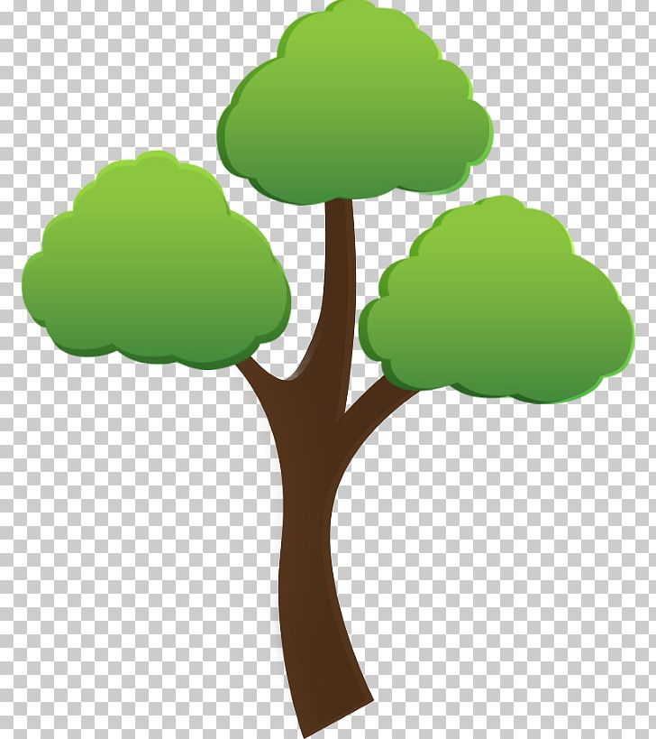 Manvel Tree Care & Removal Quality Service PNG, Clipart, Branch, Estimation, Grass, Green, Leaf Free PNG Download