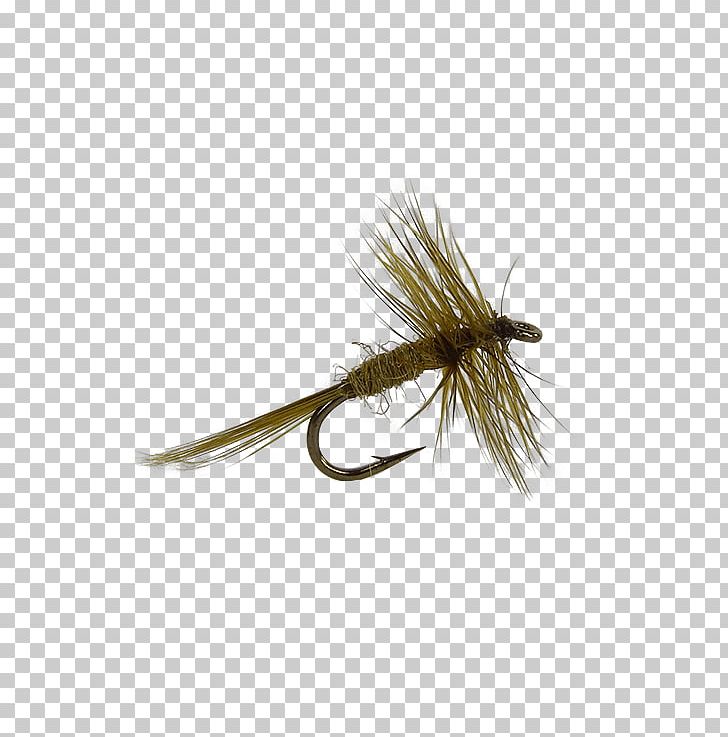 Artificial Fly Holly Flies Midge Magic Fly Fishing Nymph PNG, Clipart, Artificial Fly, Black Fly, Brand, Brand Ambassador, Card Free PNG Download