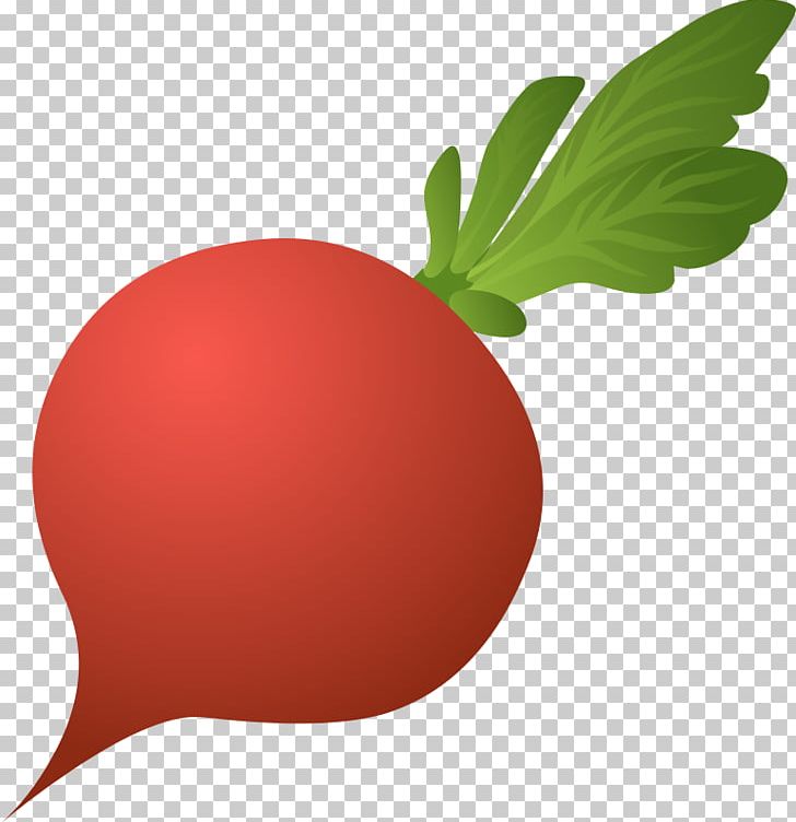 Daikon Beetroot Vegetable PNG, Clipart, Beetroot, Daikon, Food, Food Drinks, Fruit Free PNG Download