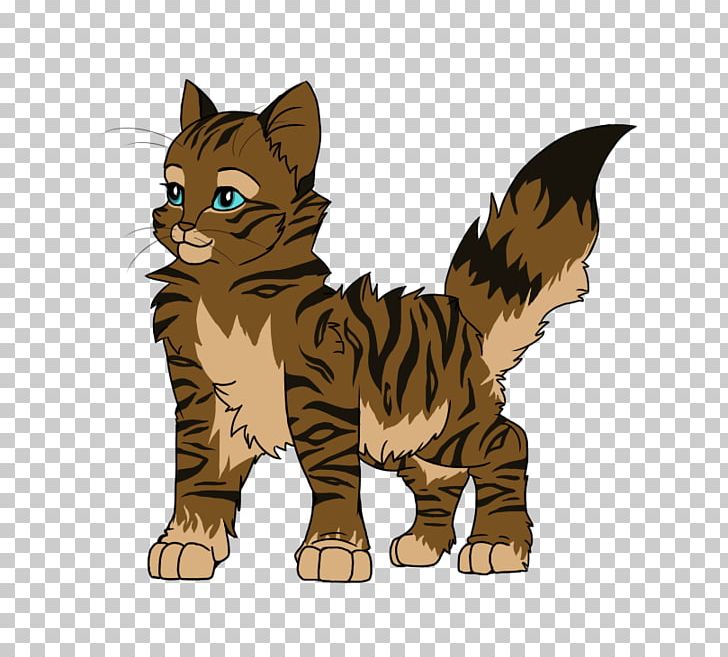 Whiskers Kitten Wildcat Tabby Cat PNG, Clipart, Animals, Big Cat, Big Cats, Canidae, Carnivoran Free PNG Download