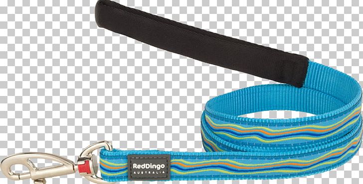 Leash Dog Collar Dingo Puppy PNG, Clipart,  Free PNG Download