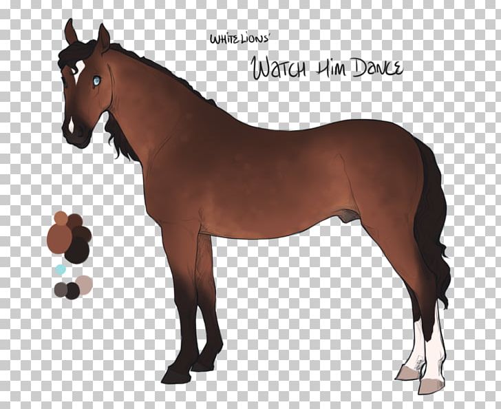 Mare Stallion Arabian Horse Colt Mustang PNG, Clipart, Arabian Horse, Bridle, Colt, Halter, Horse Free PNG Download