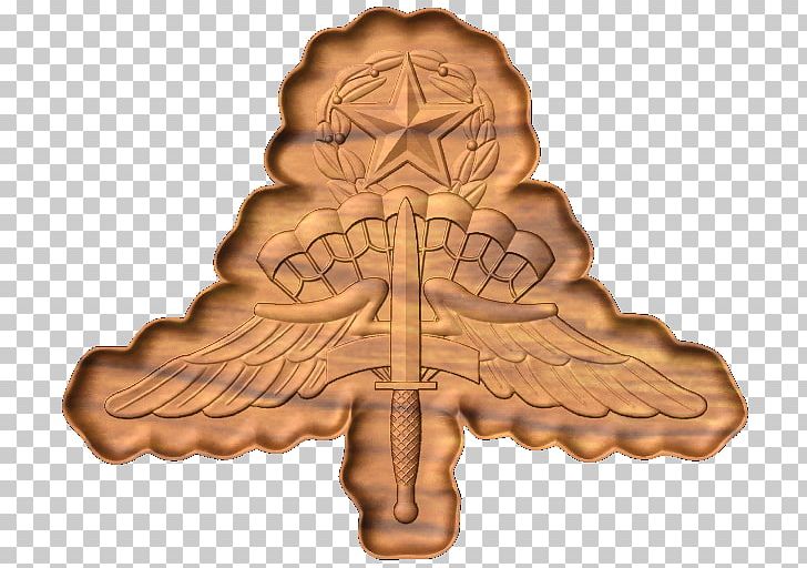 Military Freefall Parachutist Badge Driver And Mechanic Badge PNG, Clipart, Explosive Ordnance Disposal Badge, Military, Miscellaneous, Parachute Rigger Badge, Parachutist Badge Free PNG Download