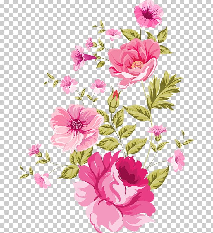Peony PNG, Clipart, Annual Plant, Blossom, Creative Market, Cut Flowers, Desktop Wallpaper Free PNG Download
