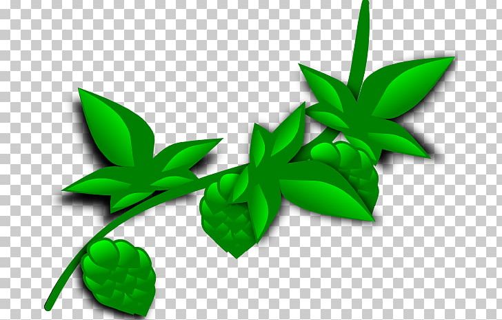Plant Coca PNG, Clipart, Brewery, Coca, Drawing, Fern, Free Content Free PNG Download