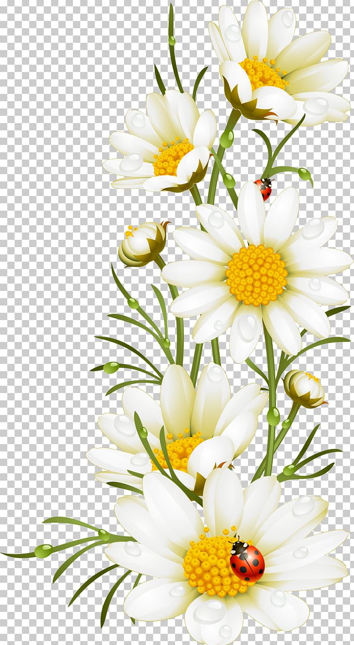 Poppy Flower Chamomile Illustration PNG, Clipart, Branch, Daisy Family, Flower, Flower Arranging, Flowers Free PNG Download
