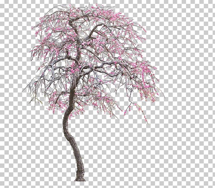 Tree PNG, Clipart, Agac, Agac Resimleri, Blossom, Branch, Cay Free PNG Download