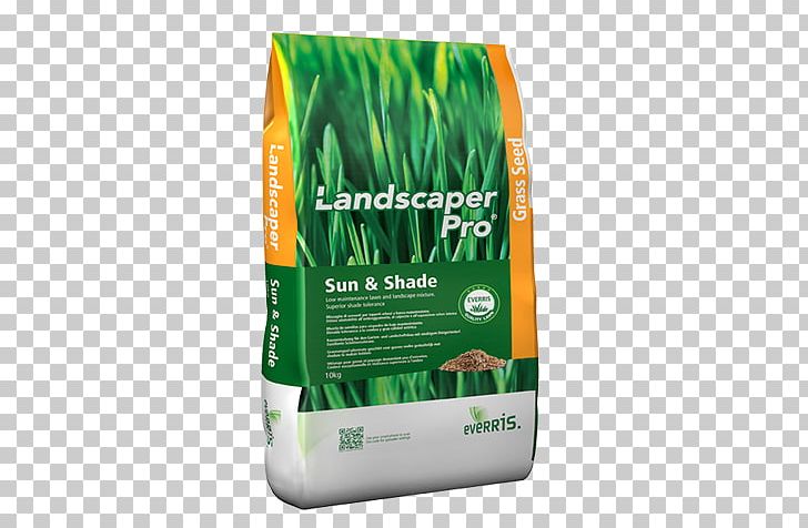Lawn Seed Fertilisers Ornamental Plant Ryegrass PNG, Clipart, Brand, Fertilisers, Fescues, Garden, Germination Free PNG Download