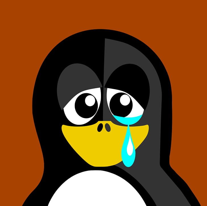 Linux Samba Microsoft Windows Vulnerability Security Hacker PNG, Clipart, Bird, Cartoon, Computer Network, Computer Security, Computer Software Free PNG Download