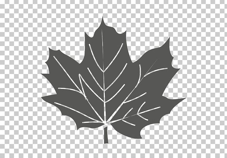 Maple Leaf Sycamore Maple Green PNG, Clipart, Black And White, Canadian Gold Maple Leaf, Download, Drawing, Flag Of Canada Free PNG Download