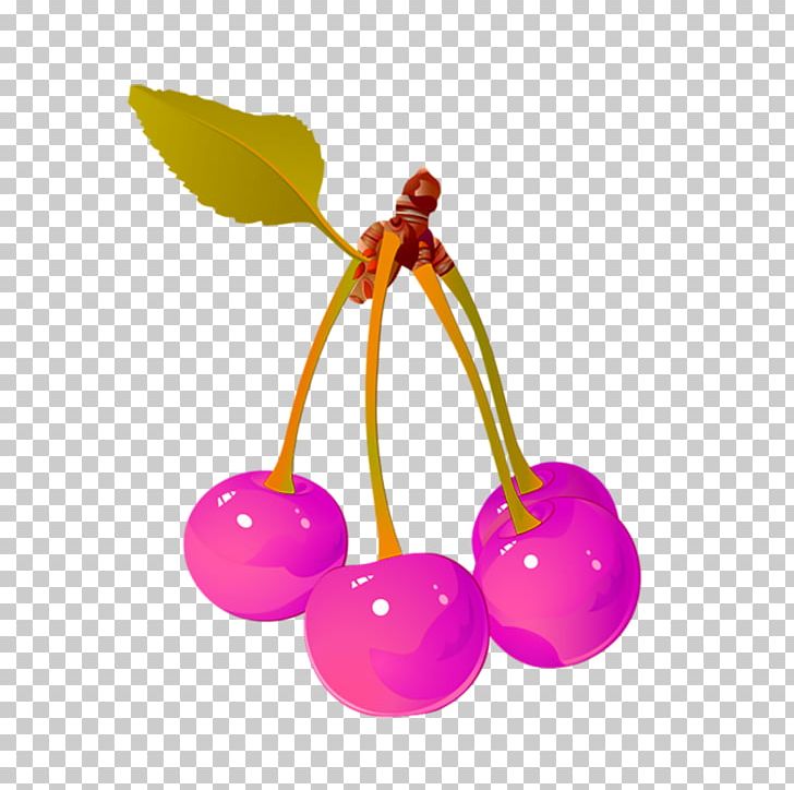 Cherry Euclidean Fruit Illustration PNG, Clipart, Adobe Illustrator, Auglis, Berry, Cerasus Yunnanensis, Cherry Free PNG Download