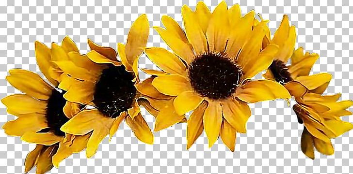 Common Sunflower Crown Portable Network Graphics PNG, Clipart, Bee, Common Sunflower, Computer Icons, Crown, Cut Flowers Free PNG Download