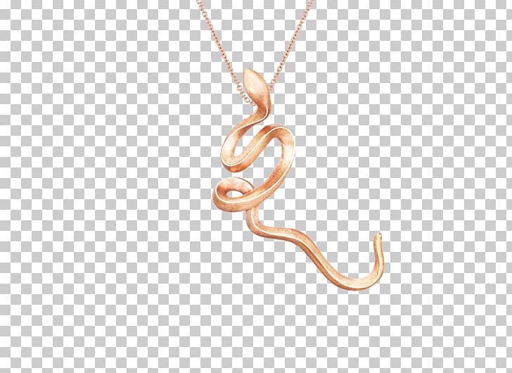 Charms & Pendants Necklace Body Jewellery PNG, Clipart, Body Jewellery, Body Jewelry, Charms Pendants, Fashion, Fashion Accessory Free PNG Download