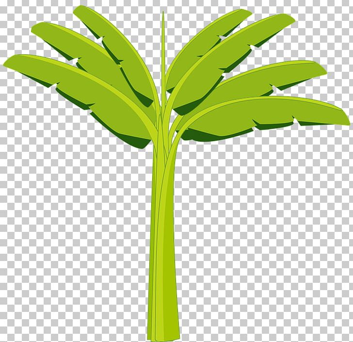 Portable Network Graphics Banaani Banana PNG, Clipart, Banana, Banana Leaf, Cartoon, Cdr, Coconut Free PNG Download