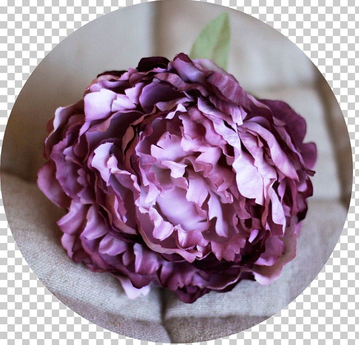 Cabbage Rose Peony Purple Cut Flowers Hortênsia Rosa PNG, Clipart, Blue, Cut Flowers, Euro, Flower, Flowering Plant Free PNG Download