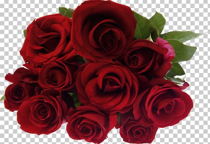 Stock Photography Rose Flower Bouquet PNG, Clipart, Color, Cut Flowers, Desktop Wallpaper, Floral Design, Floribunda Free PNG Download