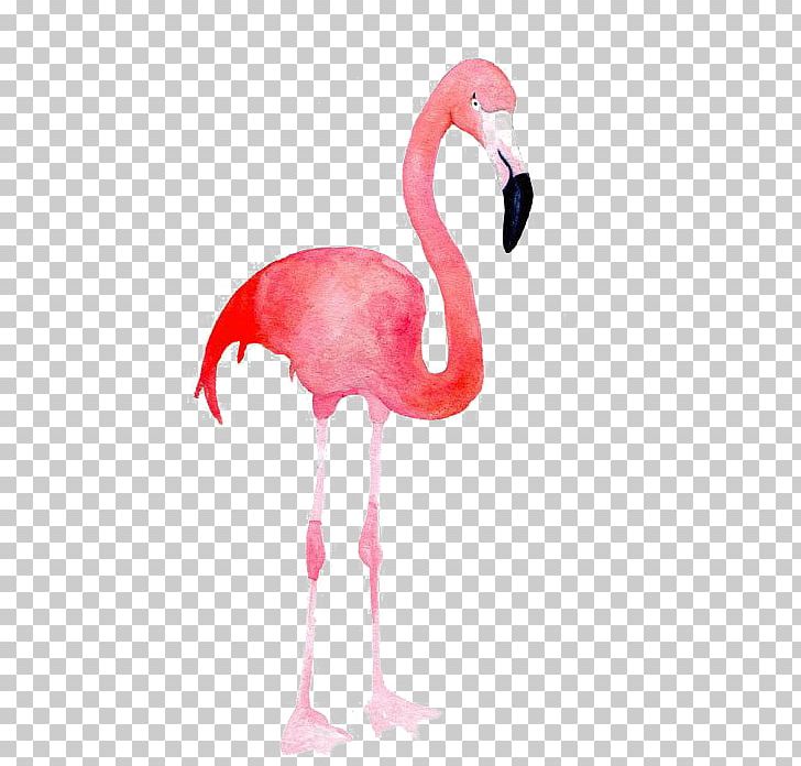 Flamingo Blue Pink Color PNG, Clipart, Animals, Art, Beak, Bird, Blue Free PNG Download