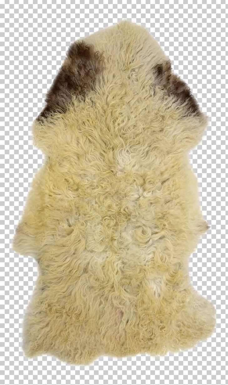 Fur Snout PNG, Clipart, Fur, Fur Clothing, Handmade, Others, Rug Free PNG Download
