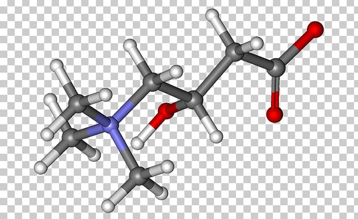 Levocarnitine Systemic Primary Carnitine Deficiency Acetylcarnitine Carnitine Palmitoyltransferase I Dietary Supplement PNG, Clipart, Acetylcarnitine, Acetyl Group, Amino Acid, Angle, Body Jewelry Free PNG Download