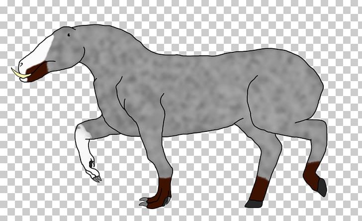 Mustang Pony Foal Mare Stallion PNG, Clipart, Animal Figure, Bit, Bridle, Donkey, Drake Free PNG Download