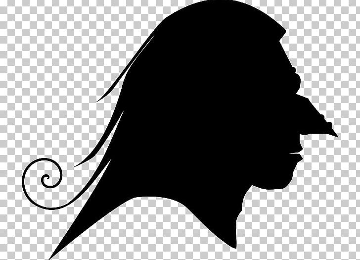 Witchcraft Silhouette PNG, Clipart, Animals, Art, Autocad Dxf, Beak, Besom Free PNG Download