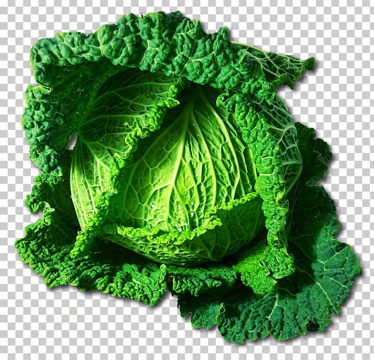 Savoy Cabbage Cauliflower Brussels Sprout Broccoli PNG, Clipart, Brassica, Brassica Oleracea, Broccoli, Brussels Sprout, Cabbage Free PNG Download