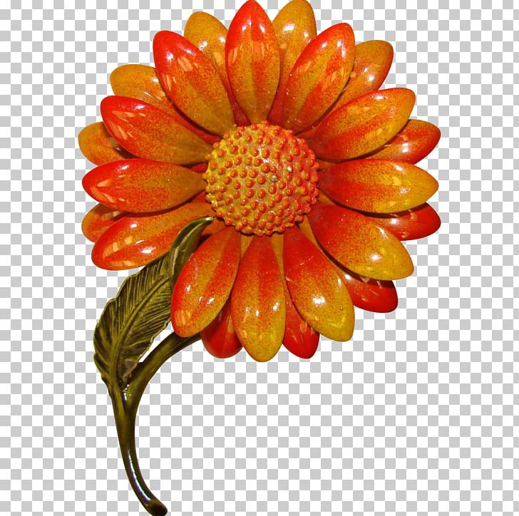 Transvaal Daisy Cut Flowers Chrysanthemum Dahlia PNG, Clipart, Chrysanthemum, Chrysanths, Cut Flowers, Dahlia, Daisy Family Free PNG Download