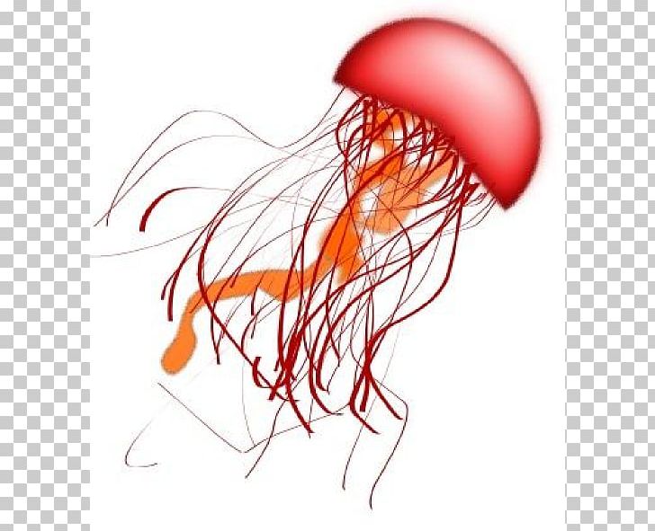 Blue Jellyfish PNG, Clipart, Animal, Art, Blue Jellyfish, Download, Drawing Free PNG Download
