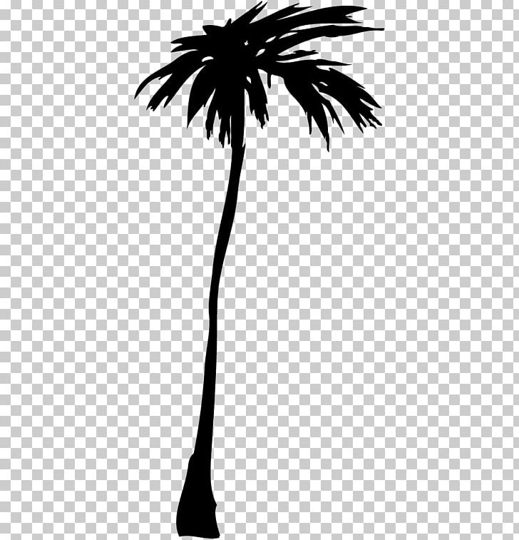 Asian Palmyra Palm Illustrator PNG, Clipart, Arecaceae, Asian Palmyra Palm, Black And White, Borassus, Borassus Flabellifer Free PNG Download