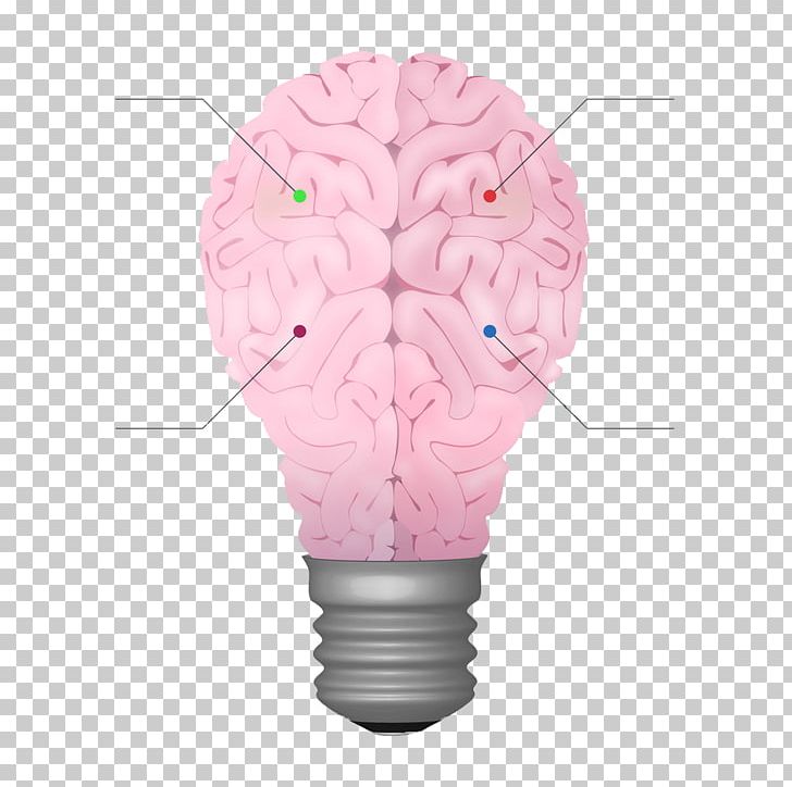 Brain Cerebrum Chart PNG, Clipart, Abstract Shapes, Agy, Brain, Bulb, Cerebrum Free PNG Download