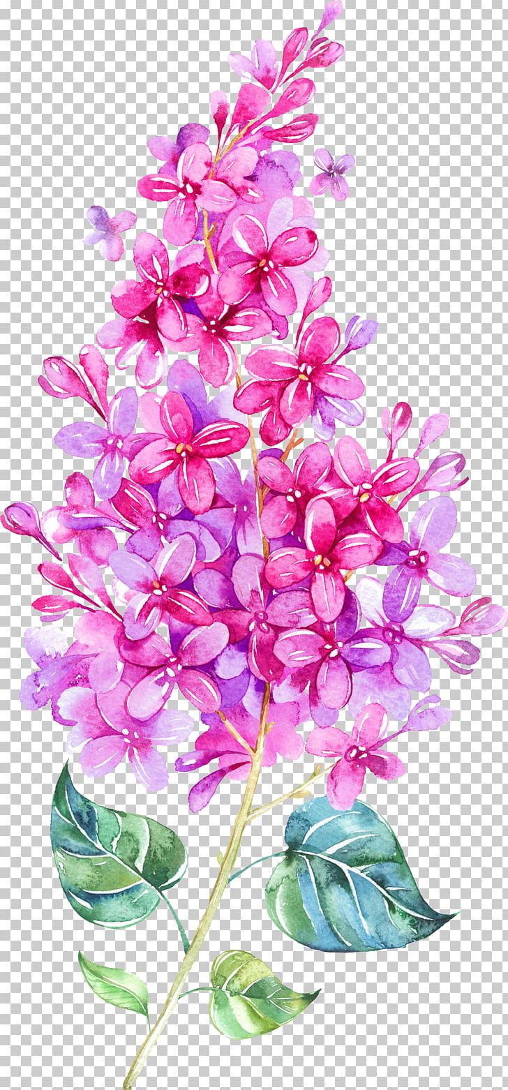 IPhone 6 Watercolor Painting Lilac PNG, Clipart, Branch, Cut Flowers, Drawing, Floral Design, Flower Arranging Free PNG Download