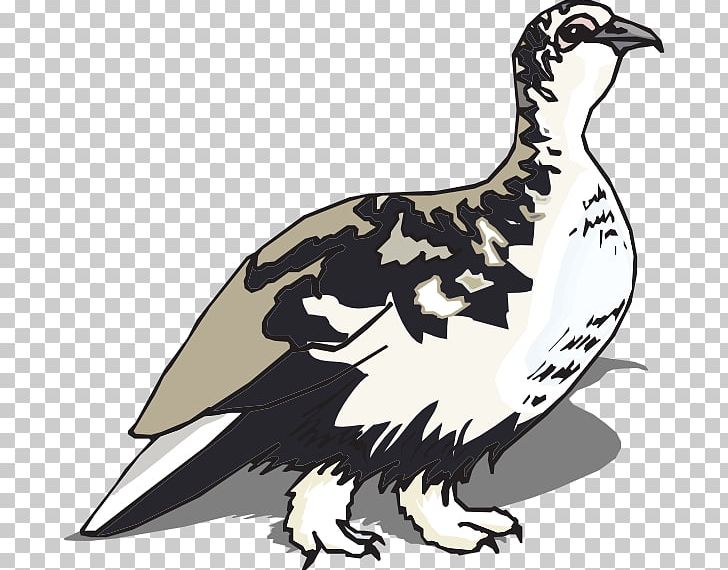 Galliformes Chicken Wings PNG, Clipart, Art, Beak, Bird, Bird Of Prey, Chicken Free PNG Download